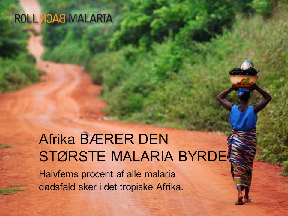 Afrika BÆRER DEN STØRSTE MALARIA BYRDE