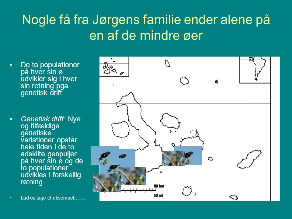 Nogle få fra Jørgens familie ender alene på en af de mindre øer