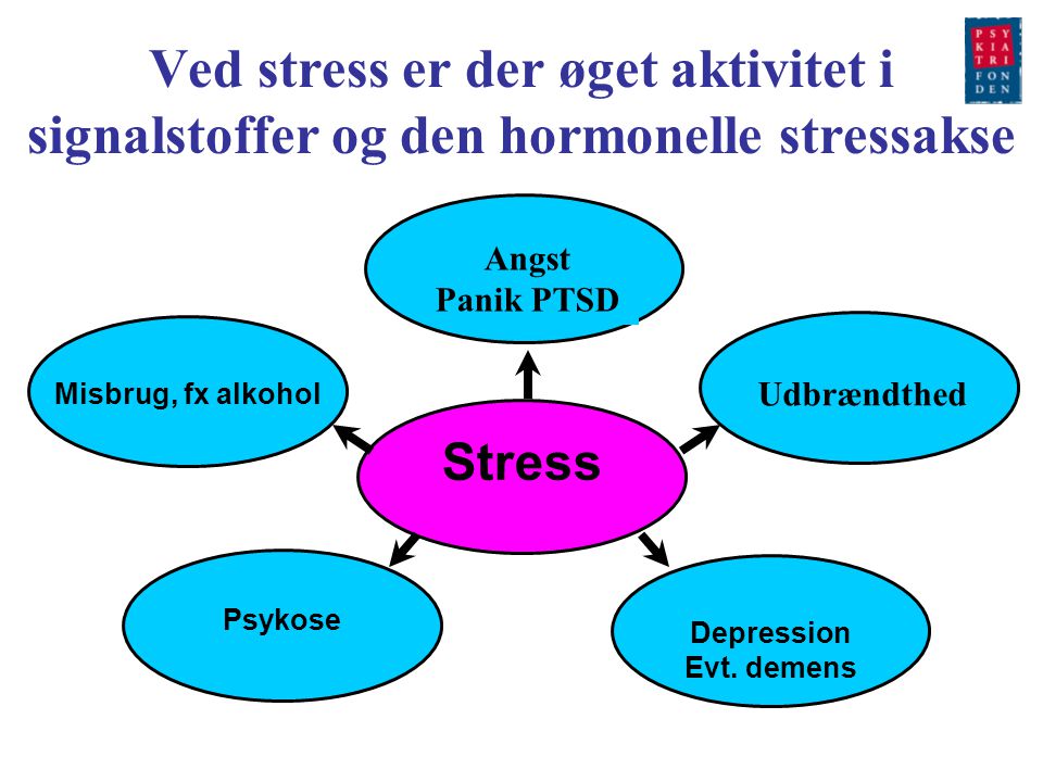 Ved stress er der øget aktivitet i signalstoffer og den hormonelle stressakse