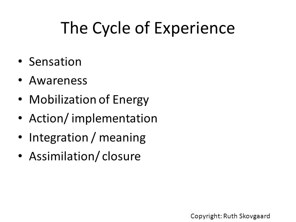 The Cycle of Experience