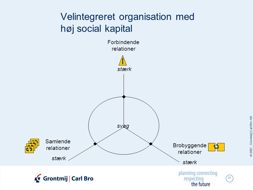 Velintegreret organisation med høj social kapital