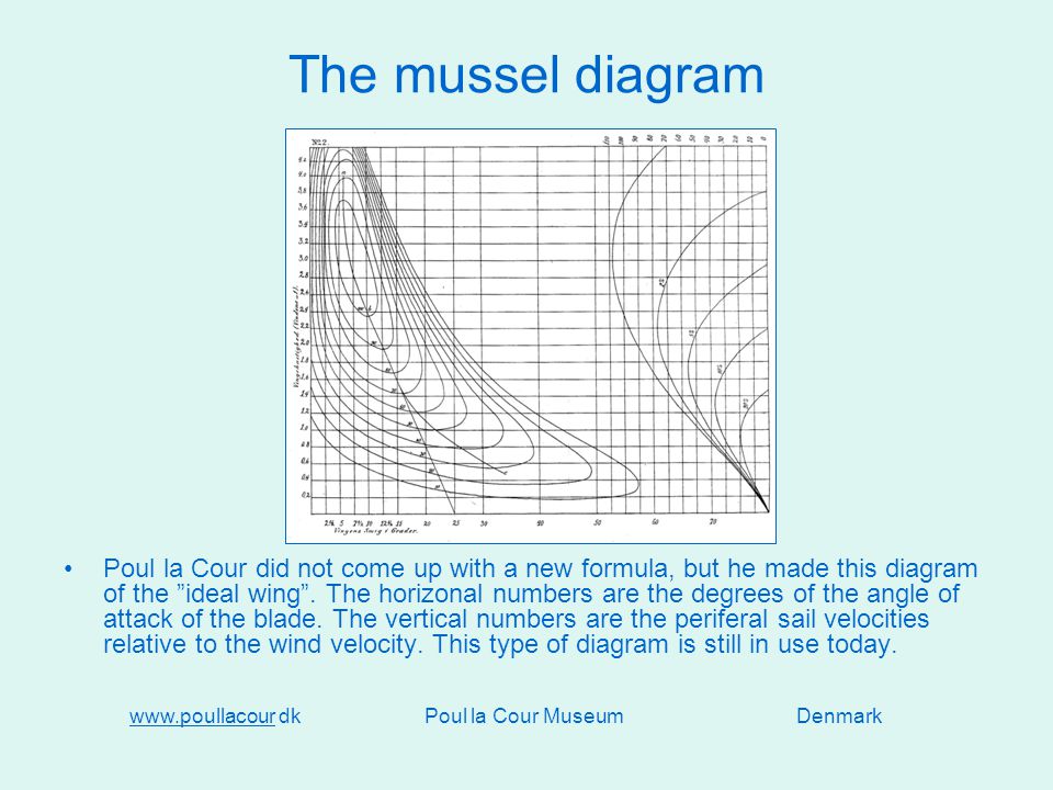 The mussel diagram