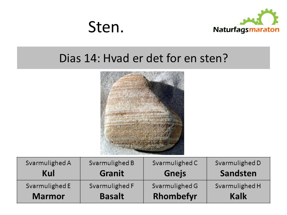 Dias 14: Hvad er det for en sten