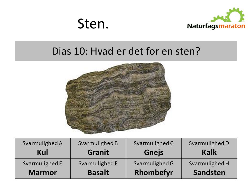 Dias 10: Hvad er det for en sten