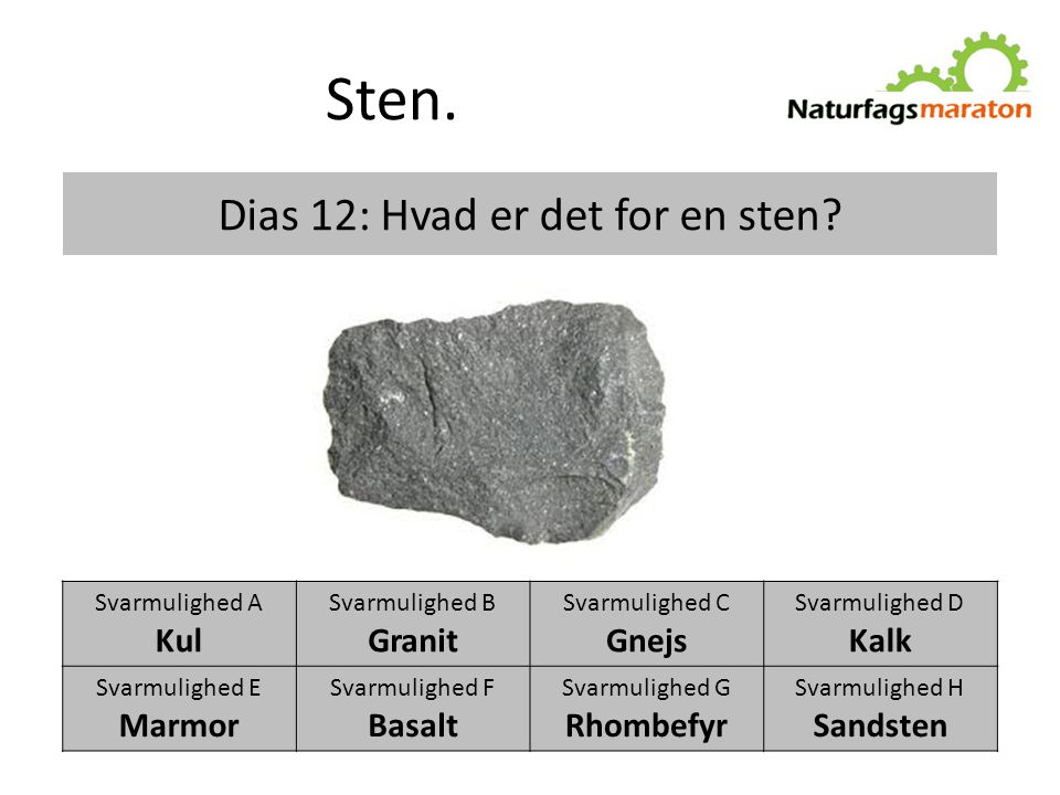 Dias 12: Hvad er det for en sten