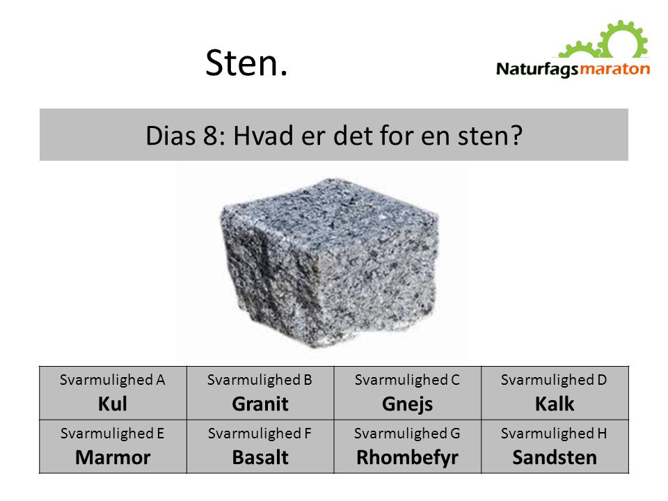 Dias 8: Hvad er det for en sten