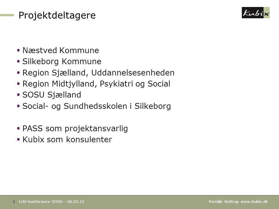 Projektdeltagere Næstved Kommune Silkeborg Kommune