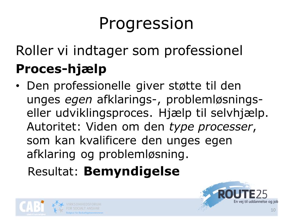 Progression Roller vi indtager som professionel Proces-hjælp