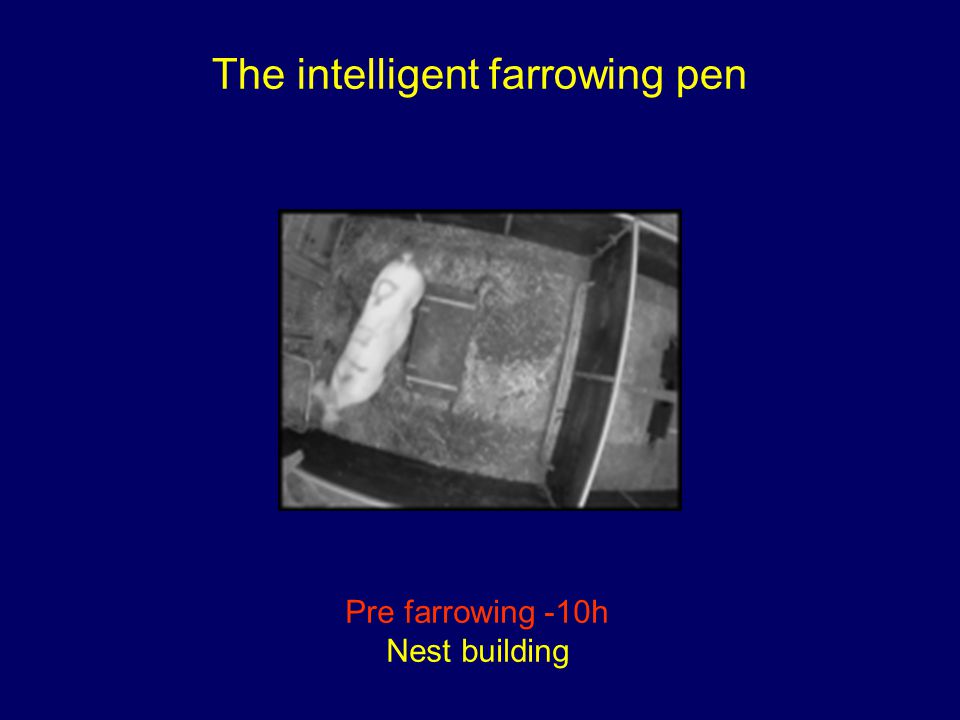 The intelligent farrowing pen