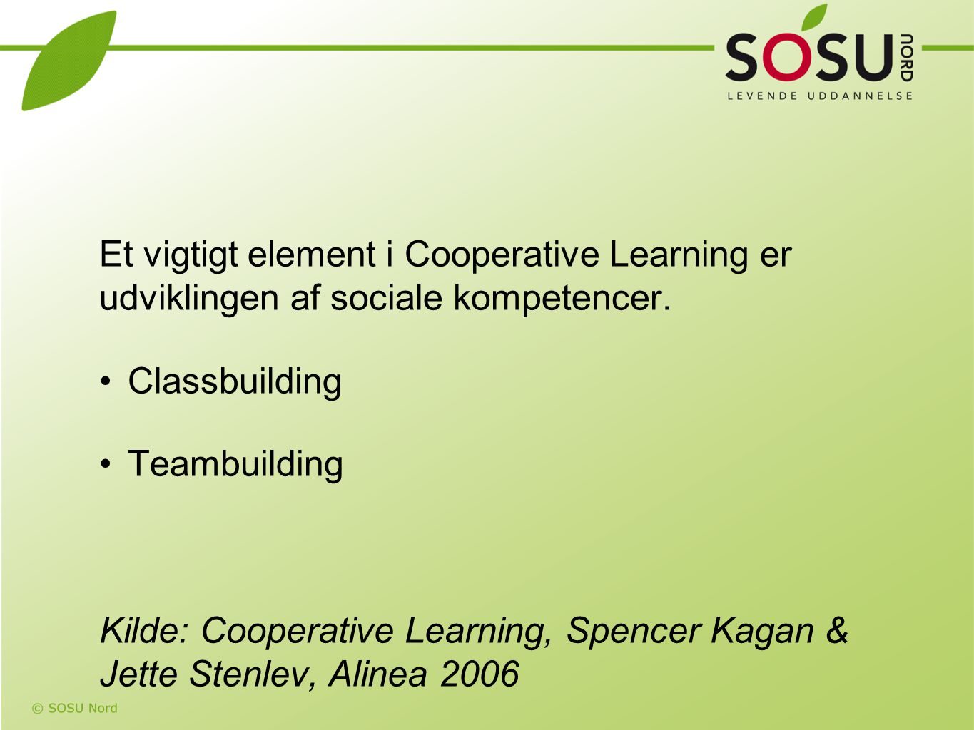 Et vigtigt element i Cooperative Learning er udviklingen af sociale kompetencer.