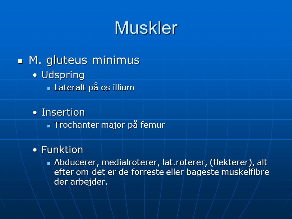 Muskler M. gluteus minimus Udspring Insertion Funktion