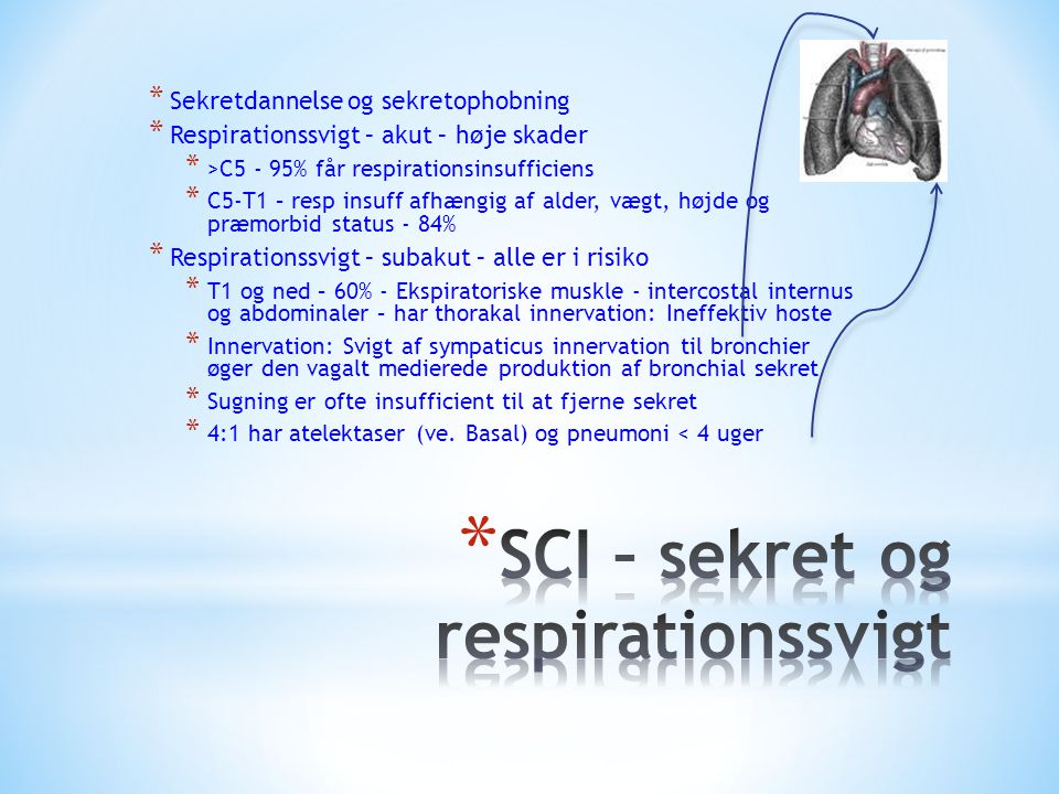 SCI – sekret og respirationssvigt