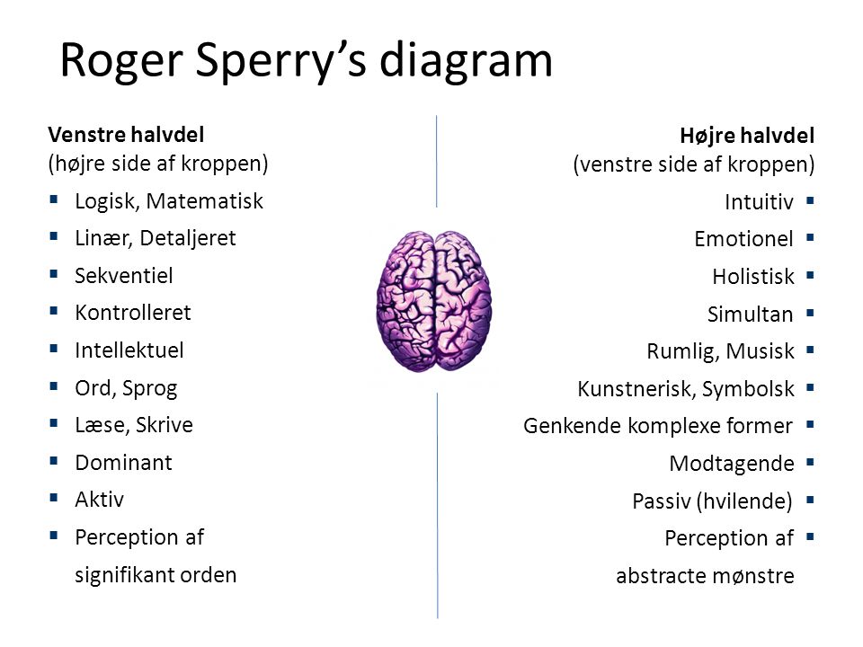 Roger Sperry’s diagram