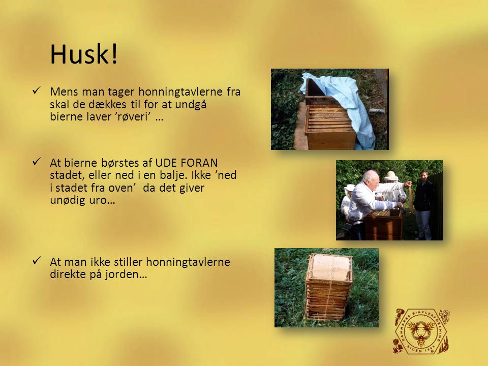 Husk! Mens man tager honningtavlerne fra skal de dækkes til for at undgå bierne laver ’røveri’ …