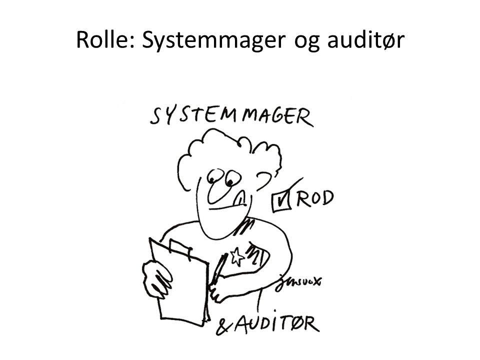 Rolle: Systemmager og auditør