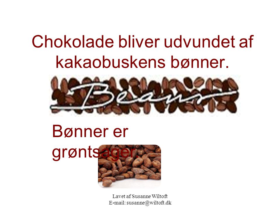 Chokolade bliver udvundet af kakaobuskens bønner.
