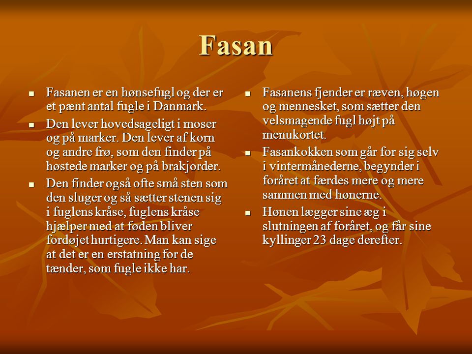 Fasan Fasanen er en hønsefugl og der er et pænt antal fugle i Danmark.