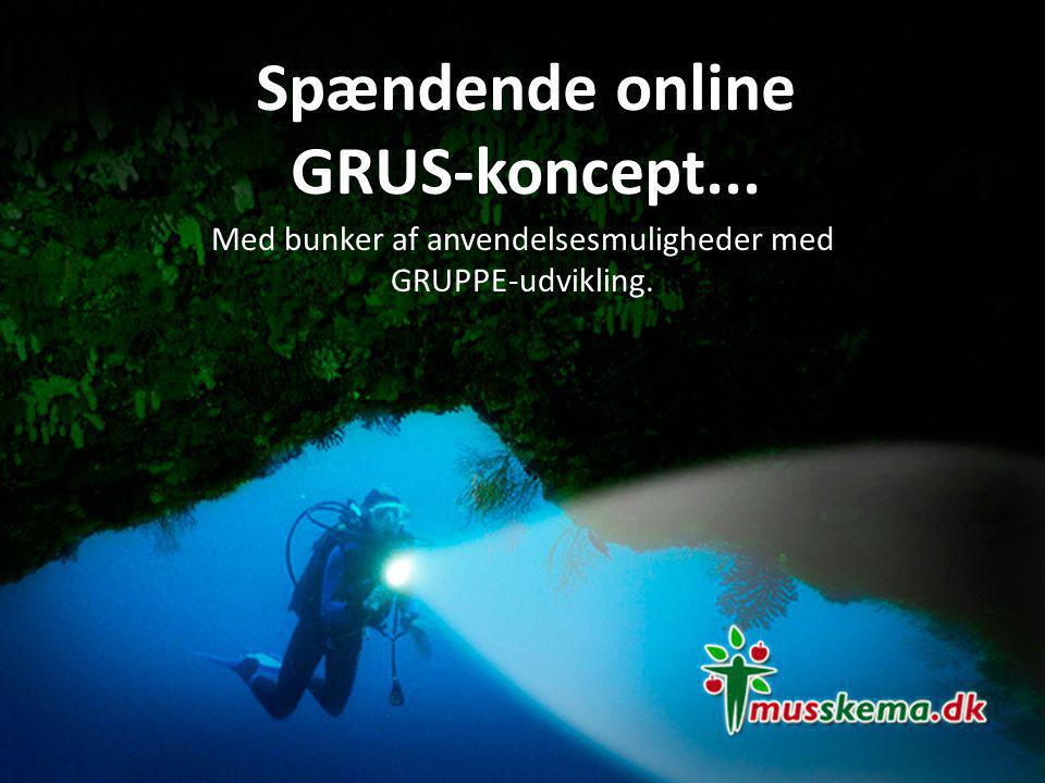 Spændende online GRUS-koncept...