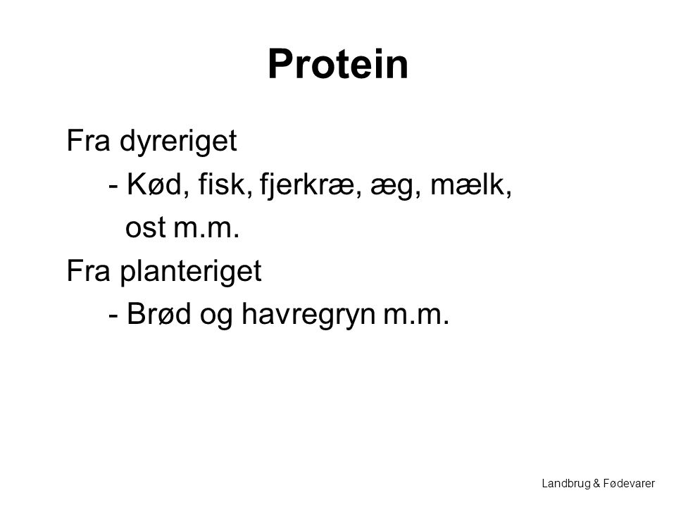 Protein Fra dyreriget - Kød, fisk, fjerkræ, æg, mælk, ost m.m. Fra planteriget - Brød og havregryn m.m.
