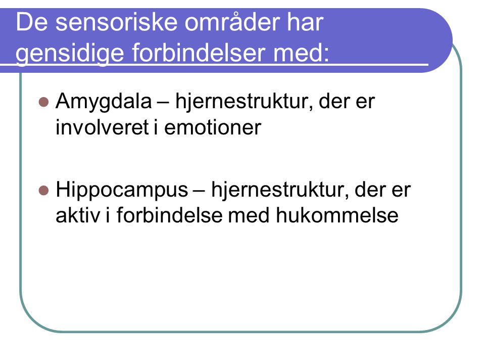 De sensoriske områder har gensidige forbindelser med: