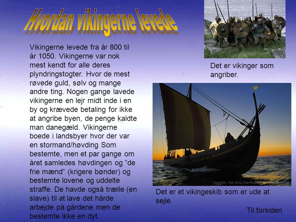Hvordan vikingerne levede