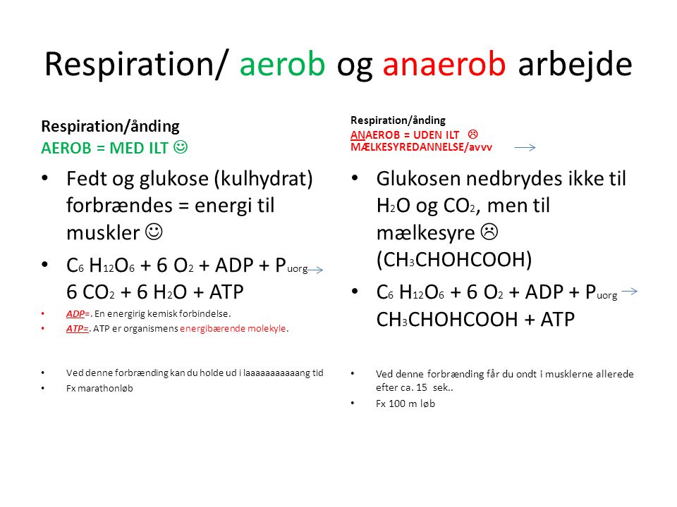Respiration/ aerob og anaerob arbejde
