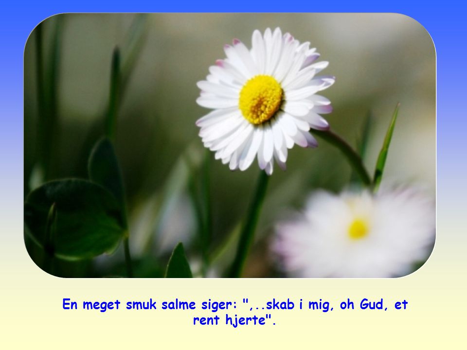 En meget smuk salme siger: ,..skab i mig, oh Gud, et rent hjerte .