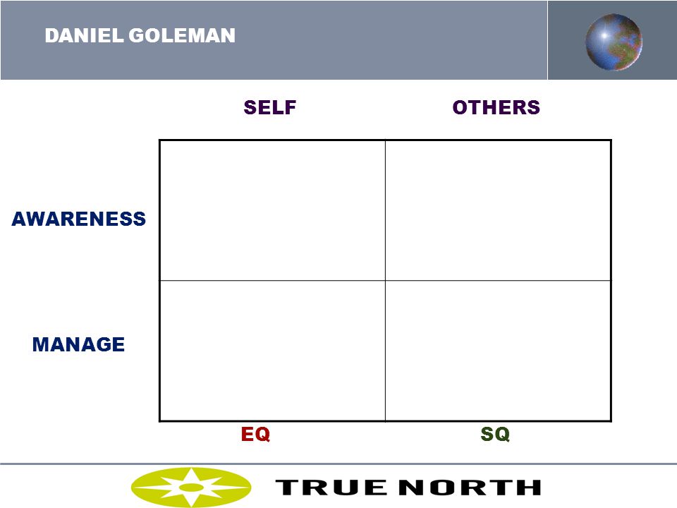 DANIEL GOLEMAN SELF OTHERS AWARENESS MANAGE EQ SQ MOLTKE-LETH