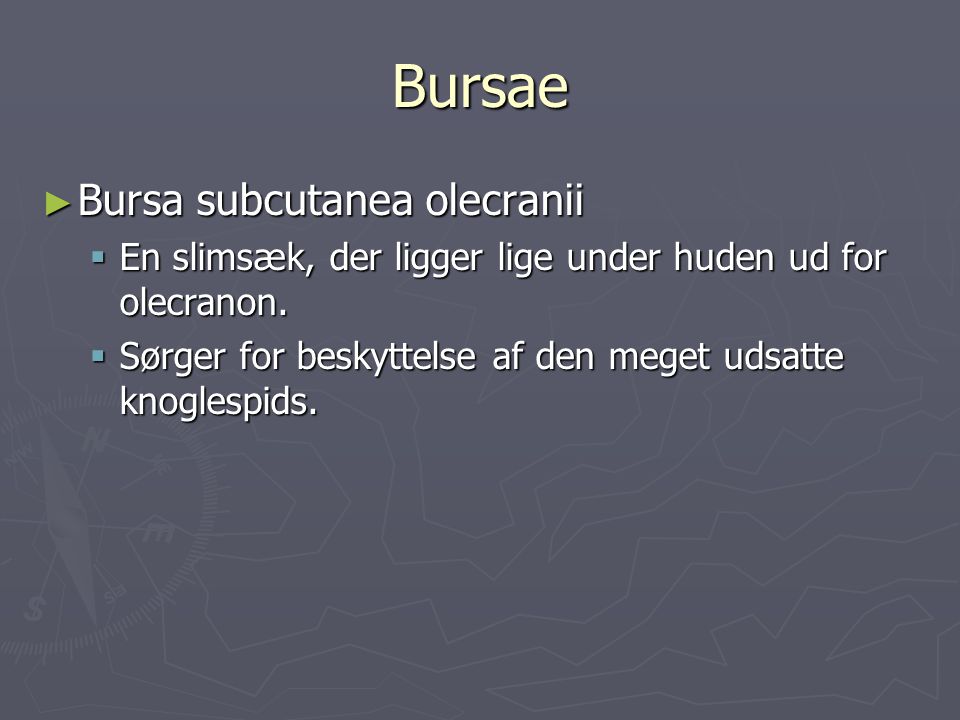 Bursae Bursa subcutanea olecranii