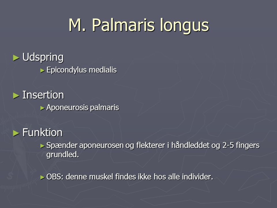 M. Palmaris longus Udspring Insertion Funktion Epicondylus medialis