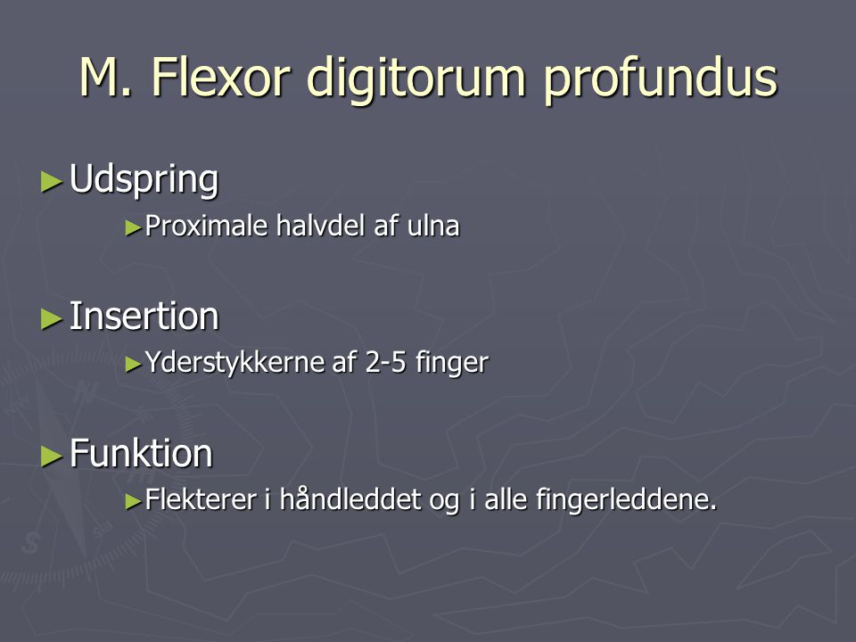 M. Flexor digitorum profundus