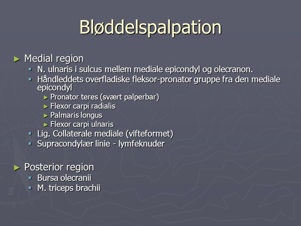 Bløddelspalpation Medial region Posterior region