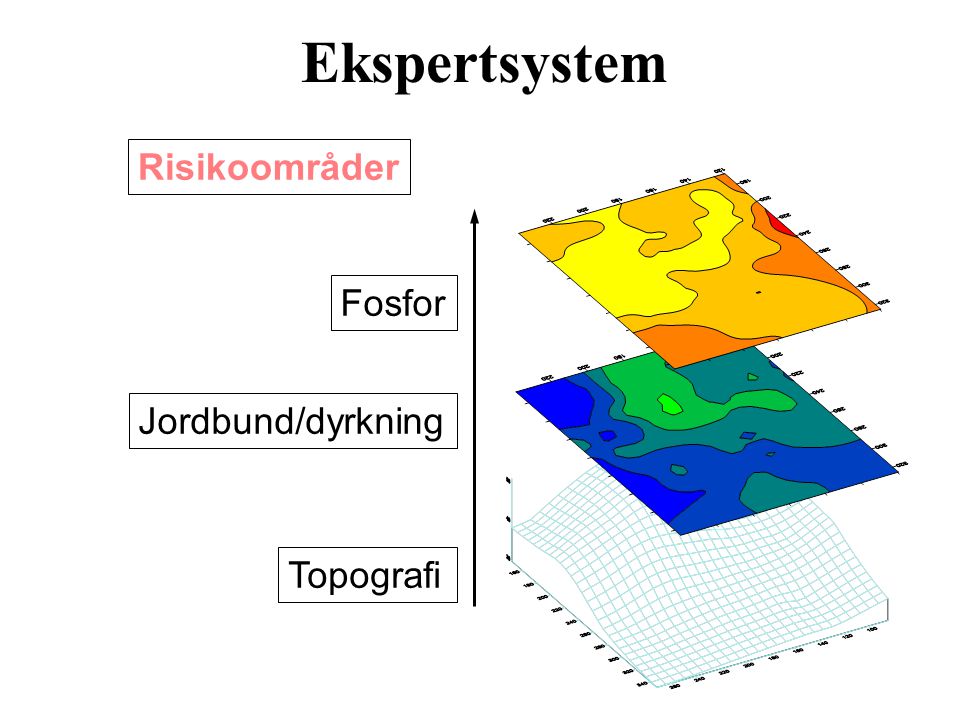 Ekspertsystem Risikoområder Fosfor Jordbund/dyrkning Topografi