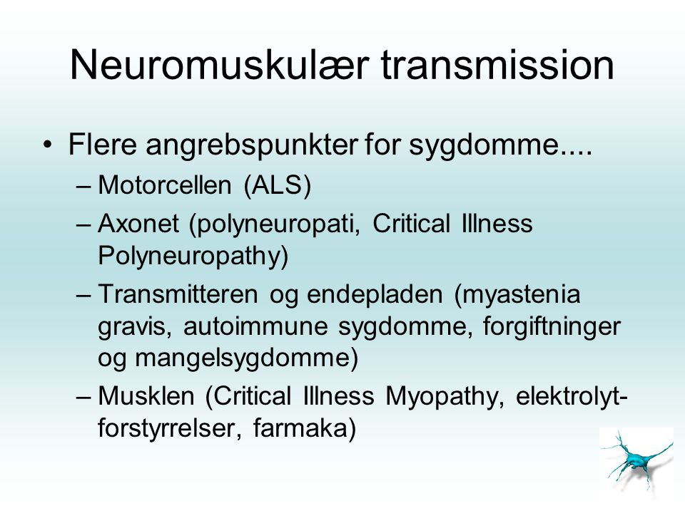 Neuromuskulær transmission