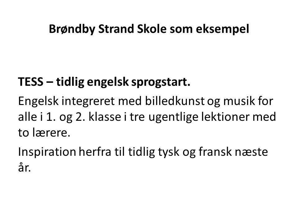 Brøndby Strand Skole som eksempel