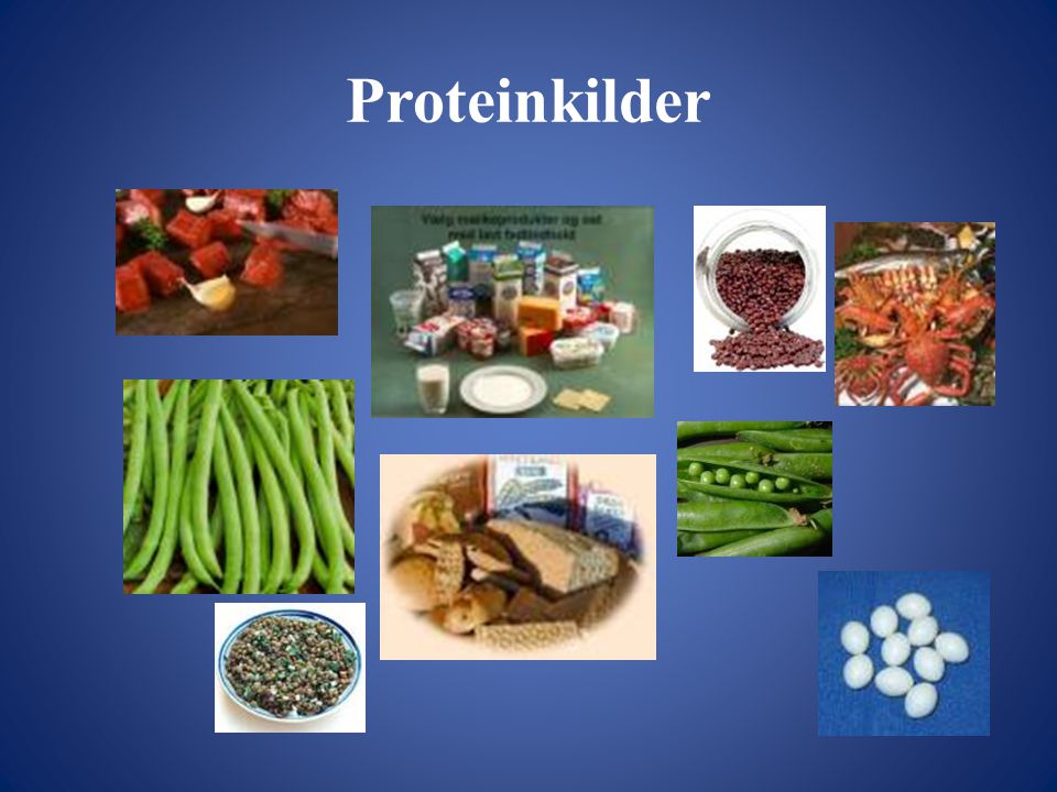 Proteinkilder