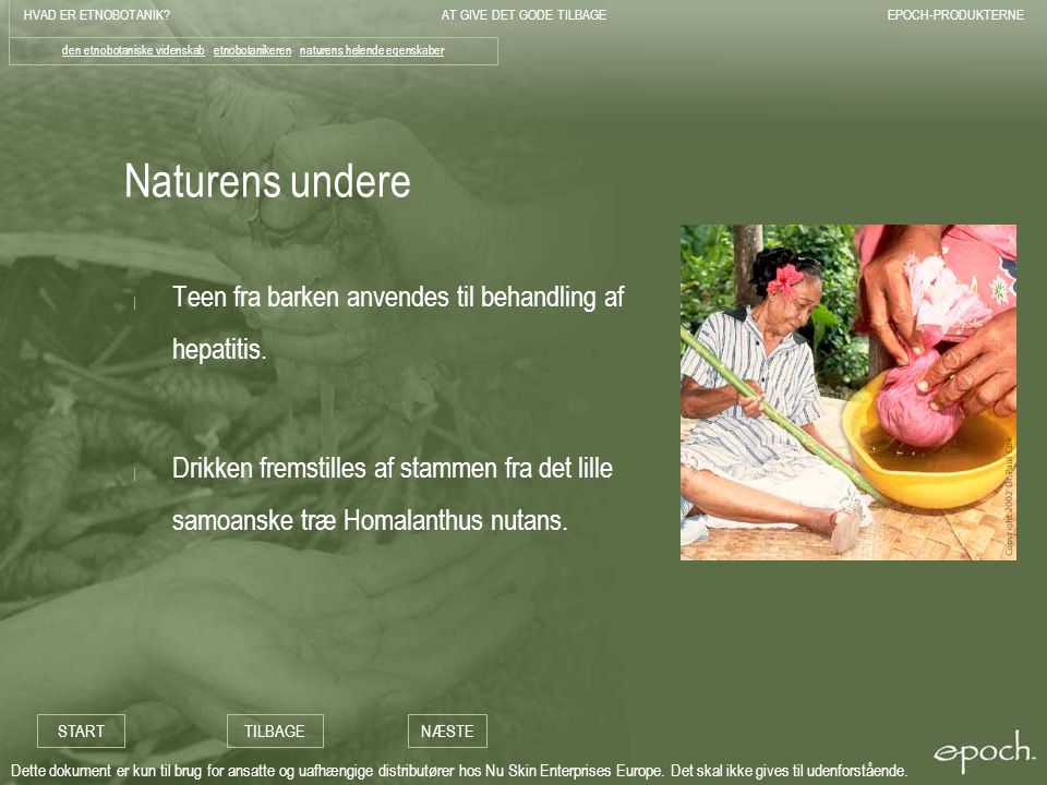 Naturens undere Teen fra barken anvendes til behandling af hepatitis.