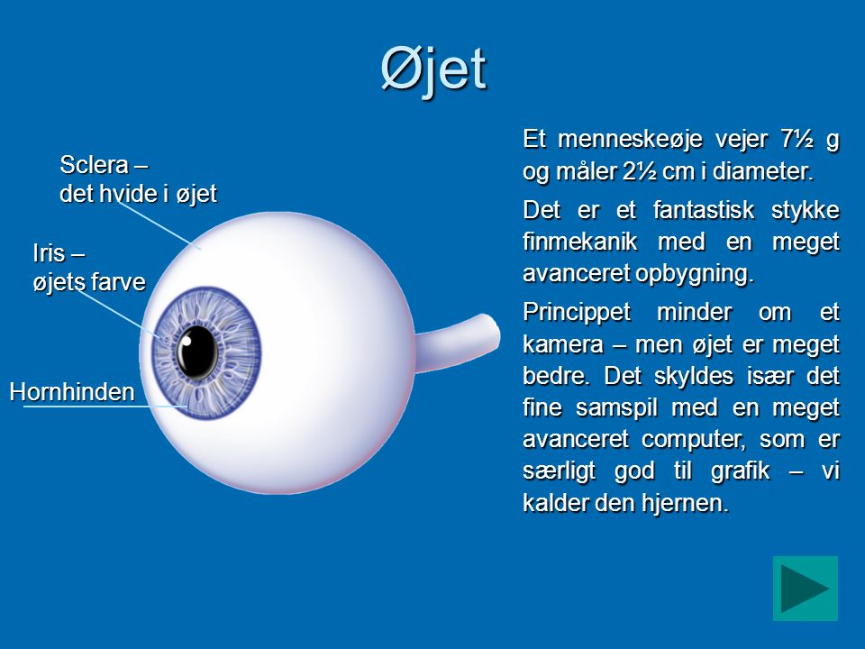 Øjet Et menneskeøje vejer 7½ g og måler 2½ cm i diameter.