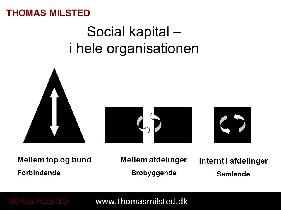 Social kapital – i hele organisationen