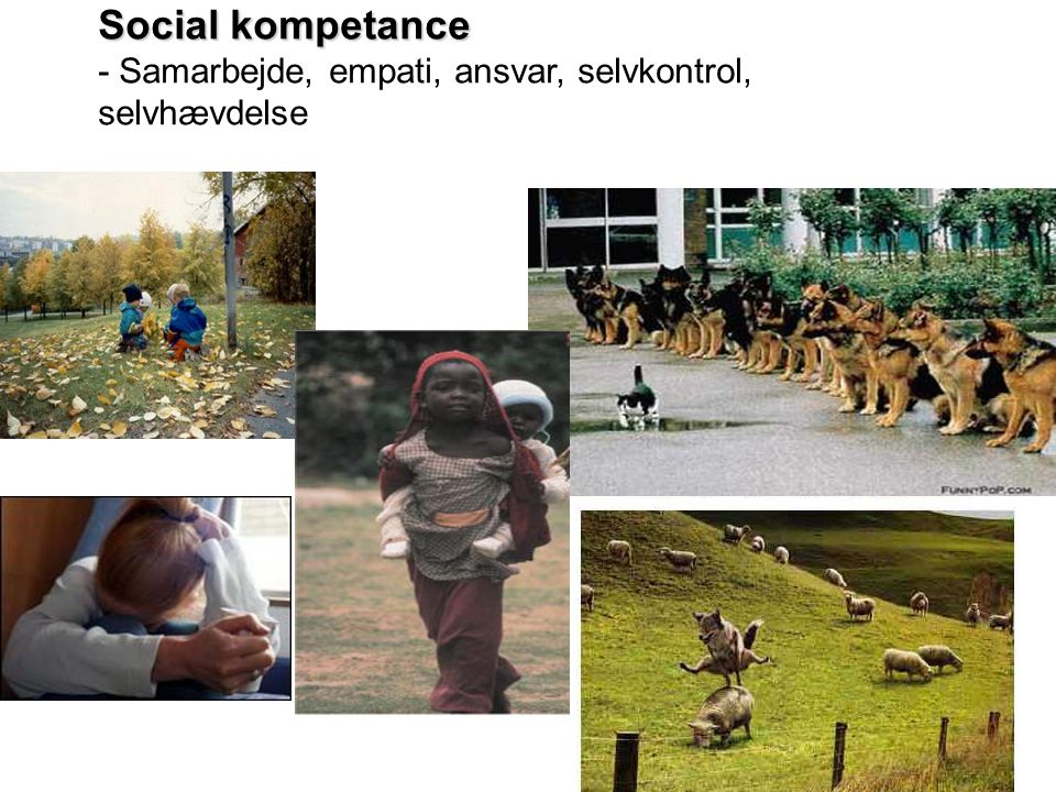 Social kompetance - Samarbejde, empati, ansvar, selvkontrol, selvhævdelse