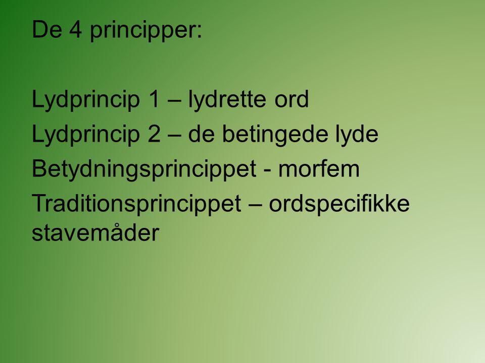 De 4 principper: Lydprincip 1 – lydrette ord. Lydprincip 2 – de betingede lyde. Betydningsprincippet - morfem.