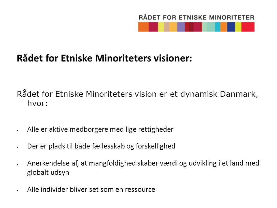 Rådet for Etniske Minoriteters visioner: