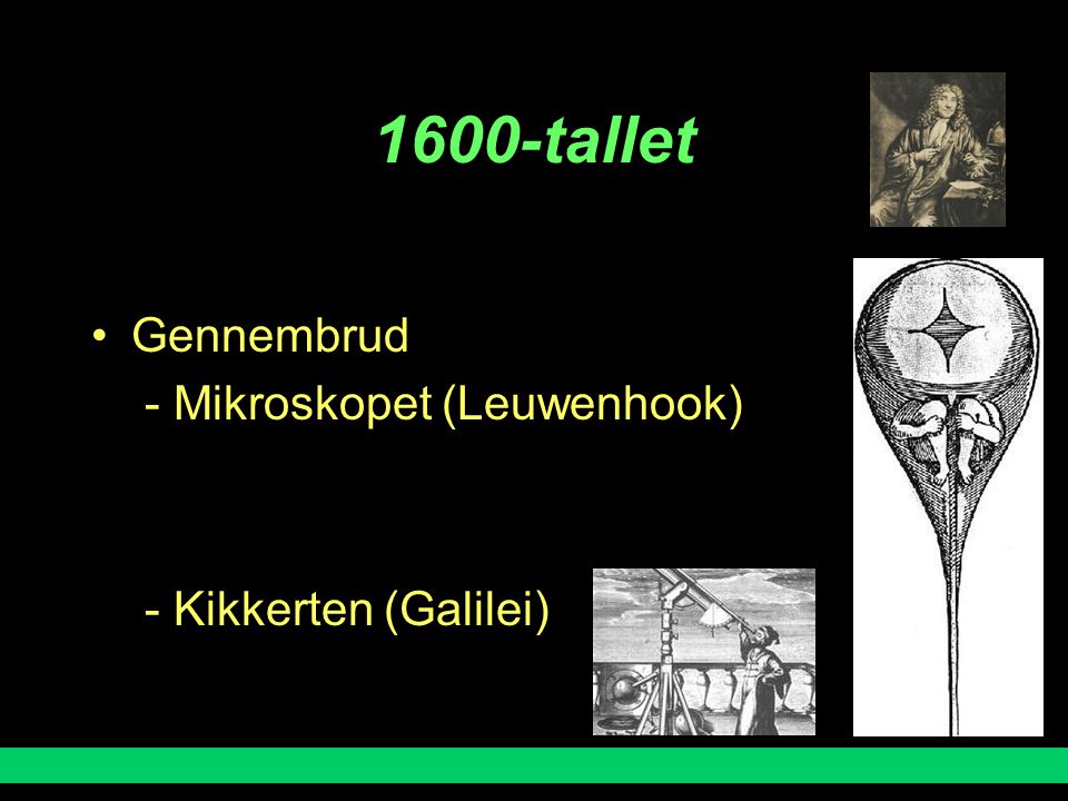 1600-tallet Gennembrud - Mikroskopet (Leuwenhook)