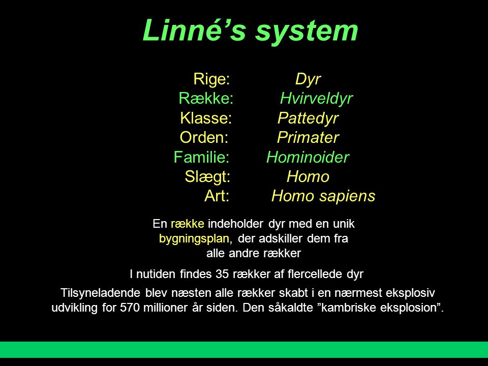 Linné’s system