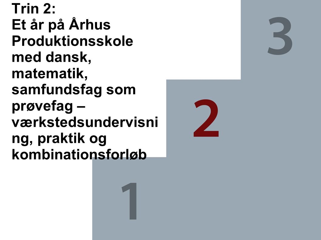 Trin 2: Et år på Århus Produktionsskole med dansk, matematik, samfundsfag som prøvefag – værkstedsundervisning, praktik og kombinationsforløb
