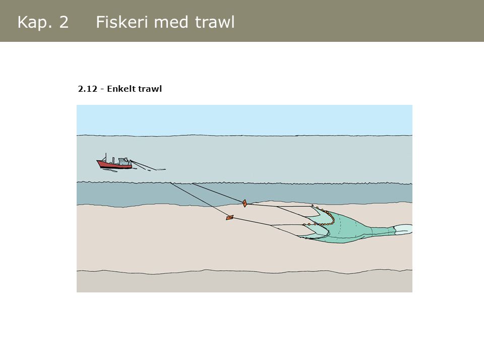 Kap. 2 Fiskeri med trawl Enkelt trawl