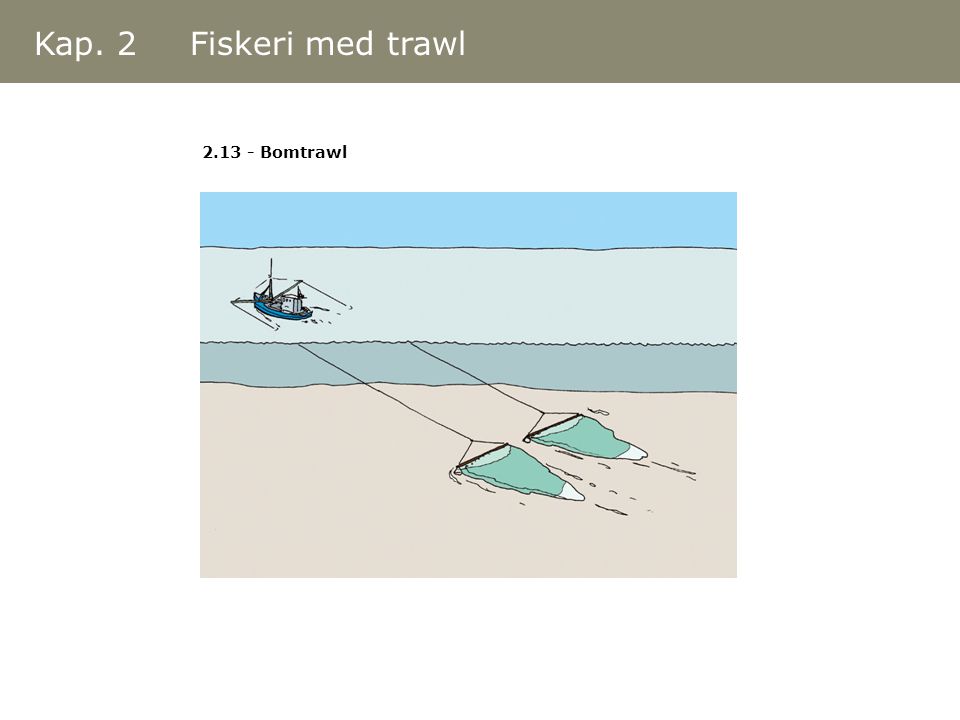 Kap. 2 Fiskeri med trawl Bomtrawl