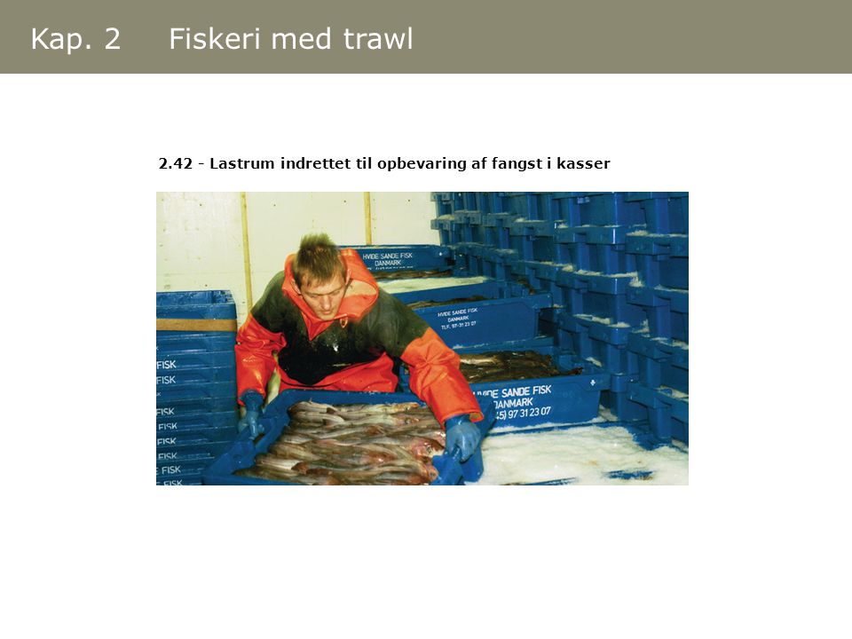 Kap. 2 Fiskeri med trawl Lastrum indrettet til opbevaring af fangst i kasser