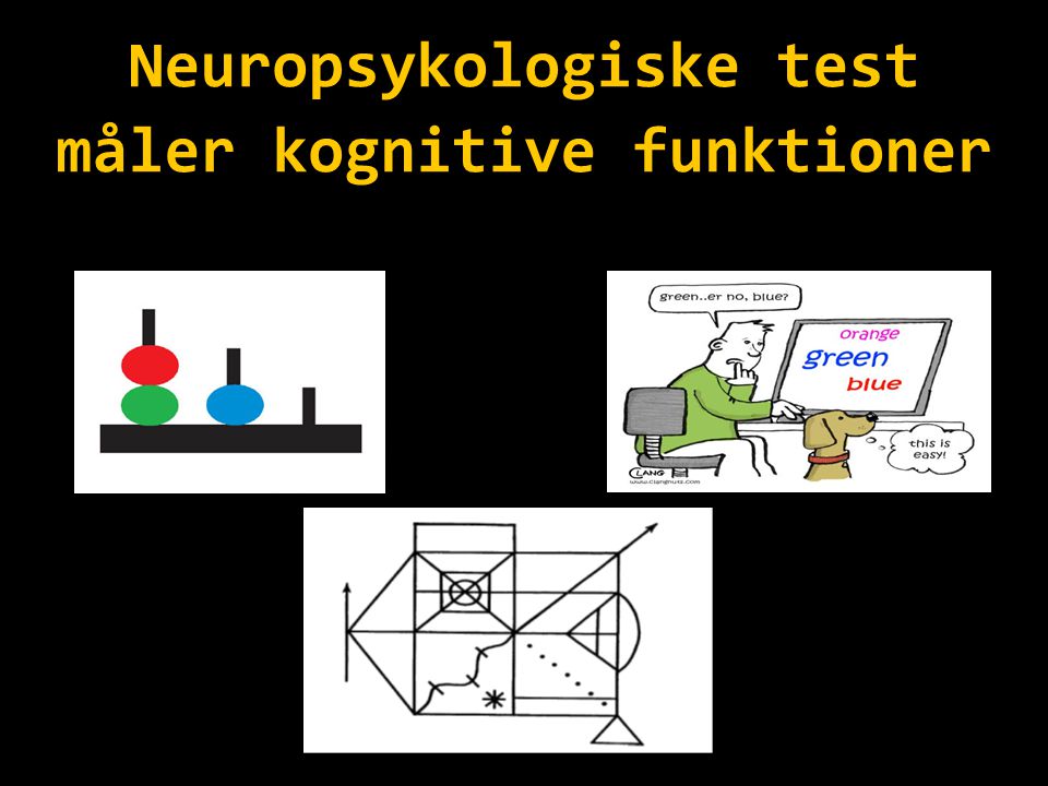 Neuropsykologiske test måler kognitive funktioner
