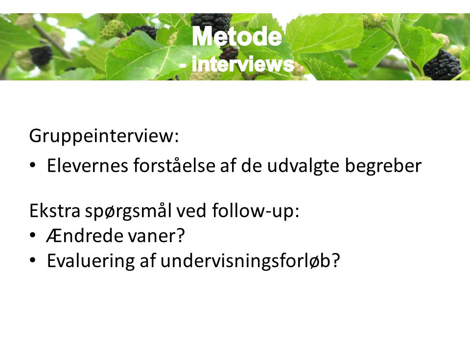 Metode Metode - interviews Gruppeinterview: